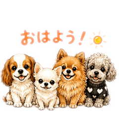 IMR_20260506222635