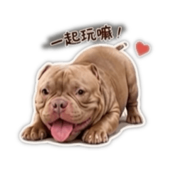 阿諾：買我嘛