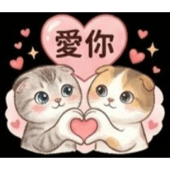 可愛的摺耳貓，情侶互動03