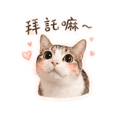 GOMA 小寶貝的日常♡