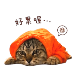 咪咕的可愛對話