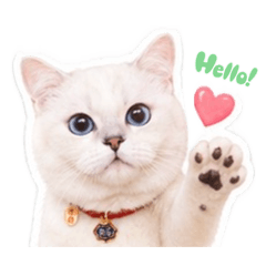 Q寶日常貼圖♥