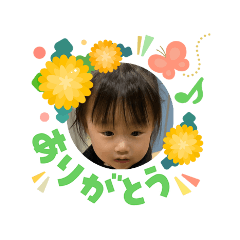 y.o_20260506224535