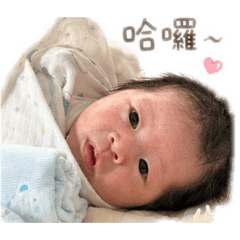 炸毛怪安安