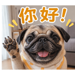 《居家崩潰 巴哥日常》