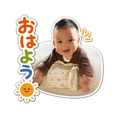 shibako_20260505225957