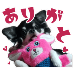 sakana_20260506215350