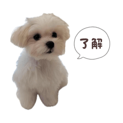 towanpfirst