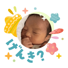 Shoma_20260506225032