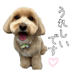 araiyuu_20260506224529