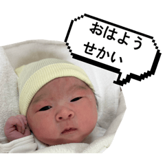 maiko.o_20260506224816