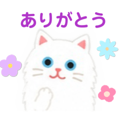 potechi_20260506225126