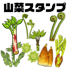 SANSAICLUB