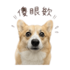 焦糖Q版