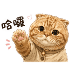錢來也！!