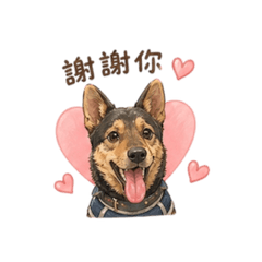 奇異奇異果