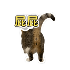 醜醜屁屁