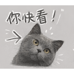 呼嚕嚕嚕嚕嚕嚕嚕啦