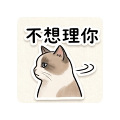 友善的日常問候