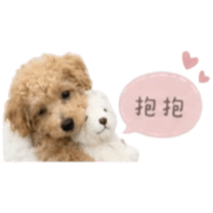 奶油寶寶♡