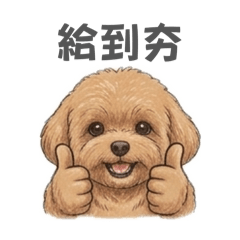 きなこ5555555