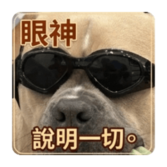阿桃（89系列）