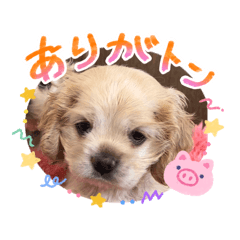 Kankan_20260506230634