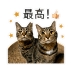chichan_20260506230954
