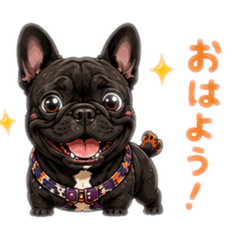 ARU&JASMINE_20260506231404