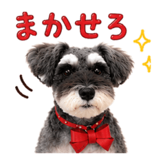 aoaoaowan_20260506231814