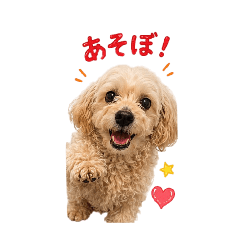 ymd_20260506231706