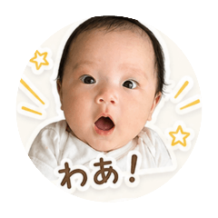 nom_20260506231127