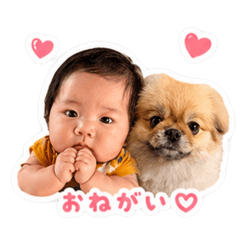 yukinoko_20260506230859