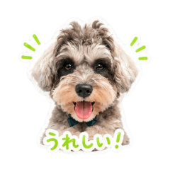 Saku_20260507163013