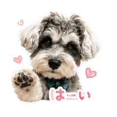 Saku_20260507164103