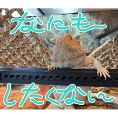 TATCHI_20260506231514
