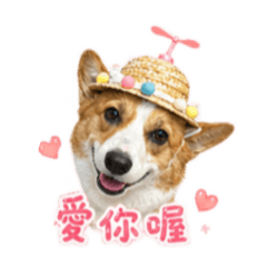 肉圓♡小日子♡