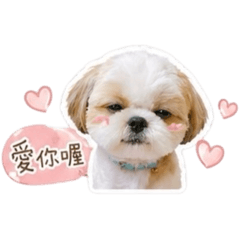 木木木木木♡