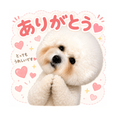 tukunekobusi_20260506233225