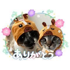 junjitakenaka_20260506234413