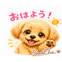 SanChe FAM_20260506233752