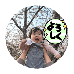 yuki_20260506233922
