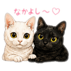 SUZUKI DOG&CAT