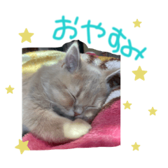 KimagureCherryB_20260509000807