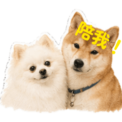 ki2&嘻2