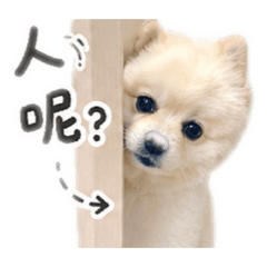 矇矇噠阿寶