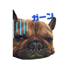 sakutarou_20260506235110