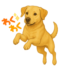 Meruu_20260507000056