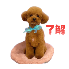 sayaka_20260507000409