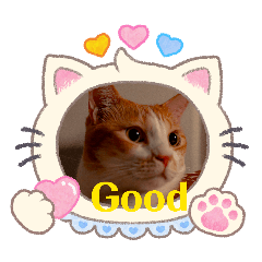 jasumin_20260506235929
